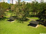 Luis Muñoz Marín Park - SAN JUAN
